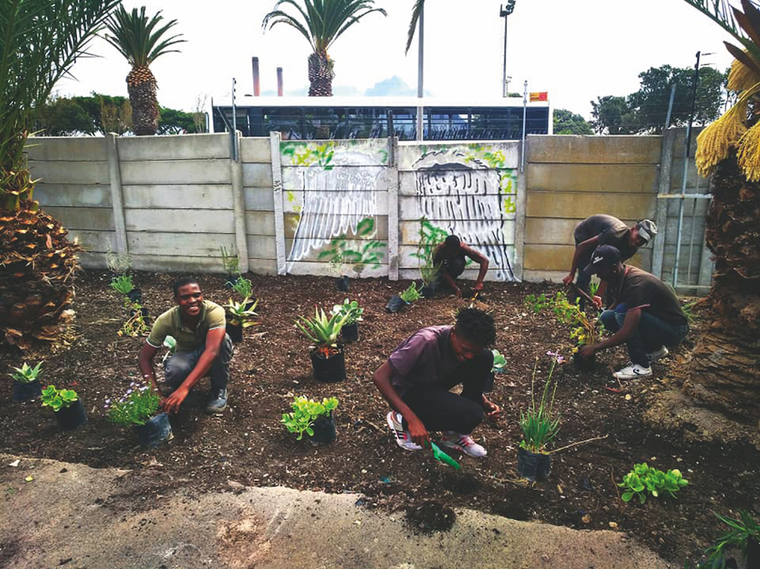 You are currently viewing Community garden in the heart of Cape Town