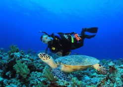 The Maldives – a scuba diving paradise