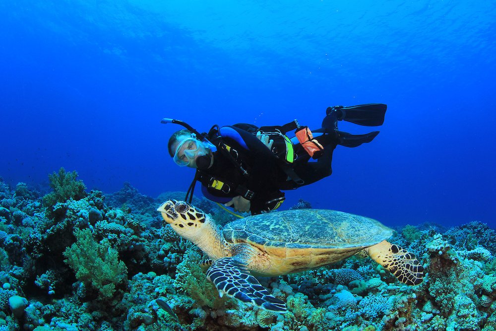 You are currently viewing The Maldives – a scuba diving paradise