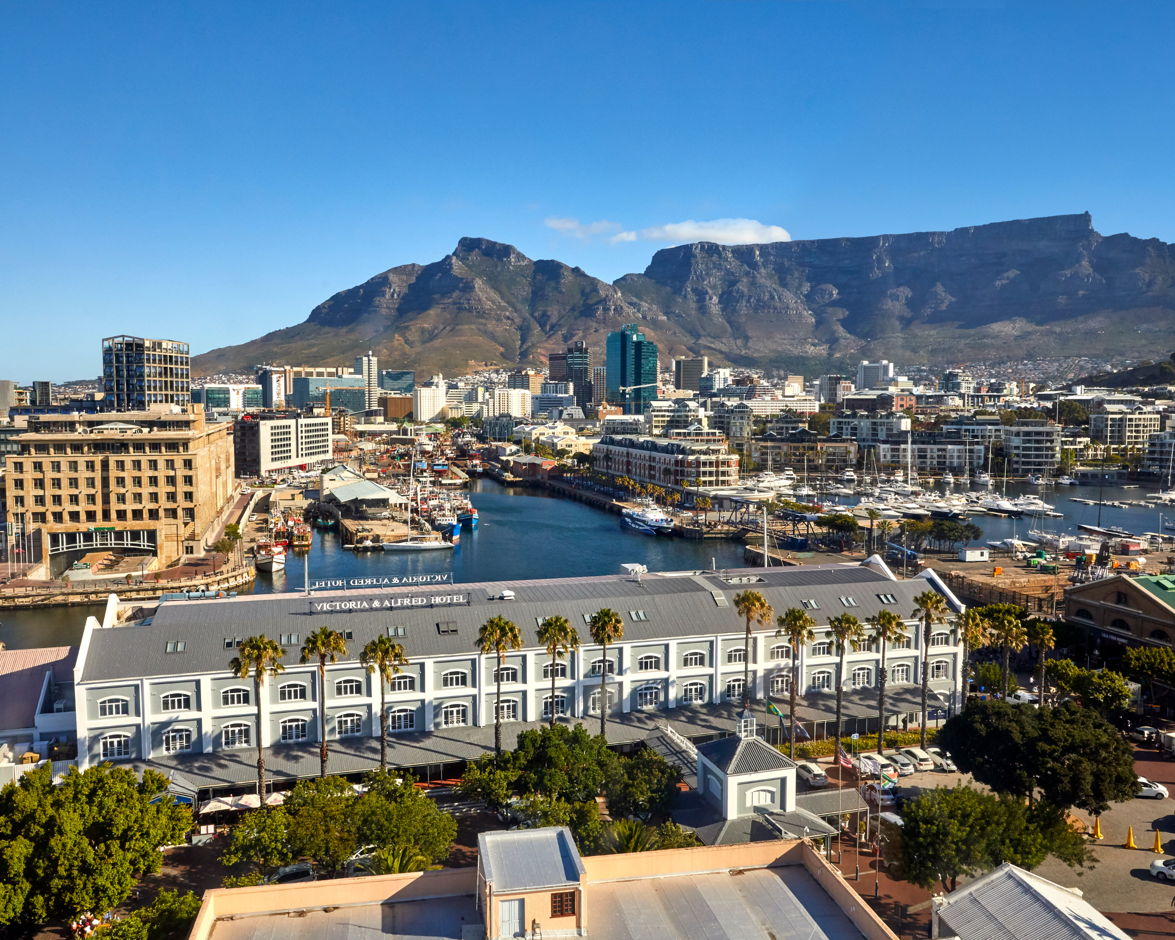 You are currently viewing Cape Town Accommodation For TOM & CTCT
