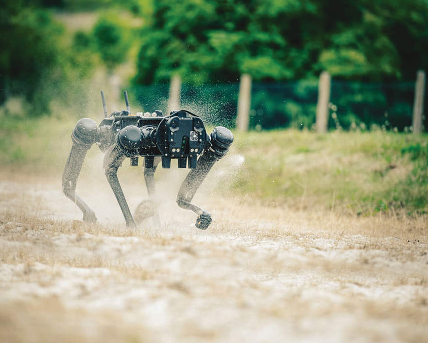 You are currently viewing Meet The Battlefield Robot Dogs