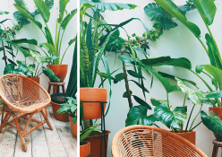 5 Garden Ideas Perfect For Limited Space