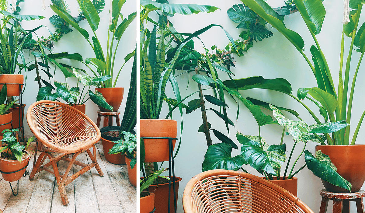 You are currently viewing 5 Garden Ideas Perfect For Limited Space