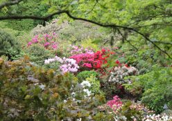 9 local botanical gardens to explore