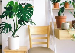 4 tips to spruce up your decor for summer