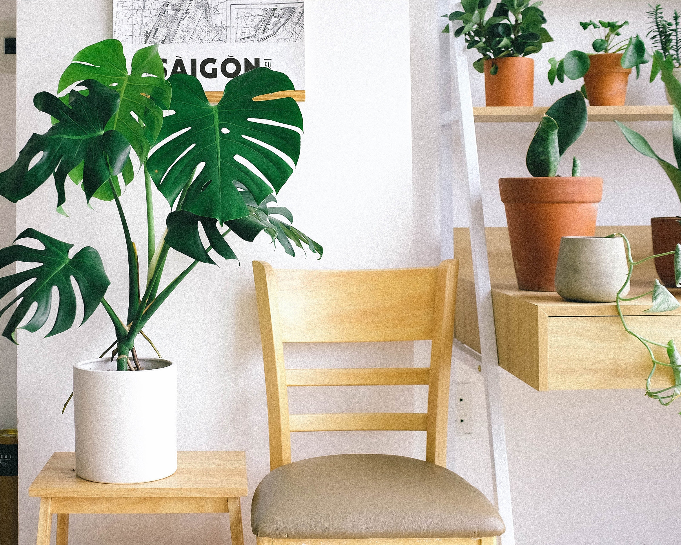 You are currently viewing 4 tips to spruce up your decor for summer