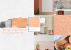 Bring Colour Trends into Your Home