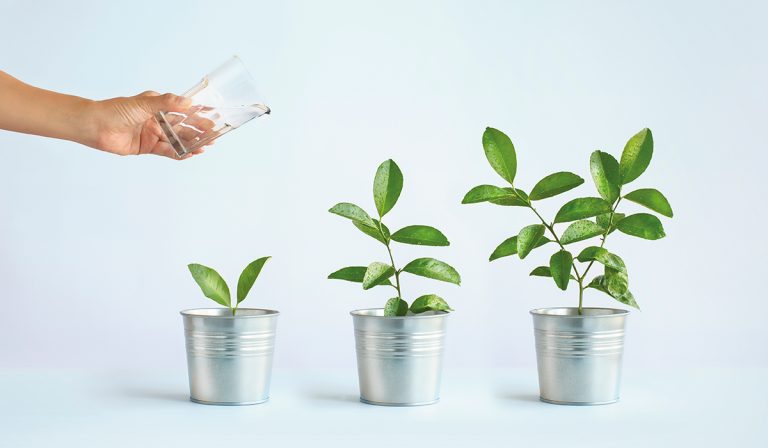 The Two-Pot Retirement system explained - TFG Media