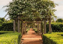 Babylonstoren: A grounded sanctuary for everyone 