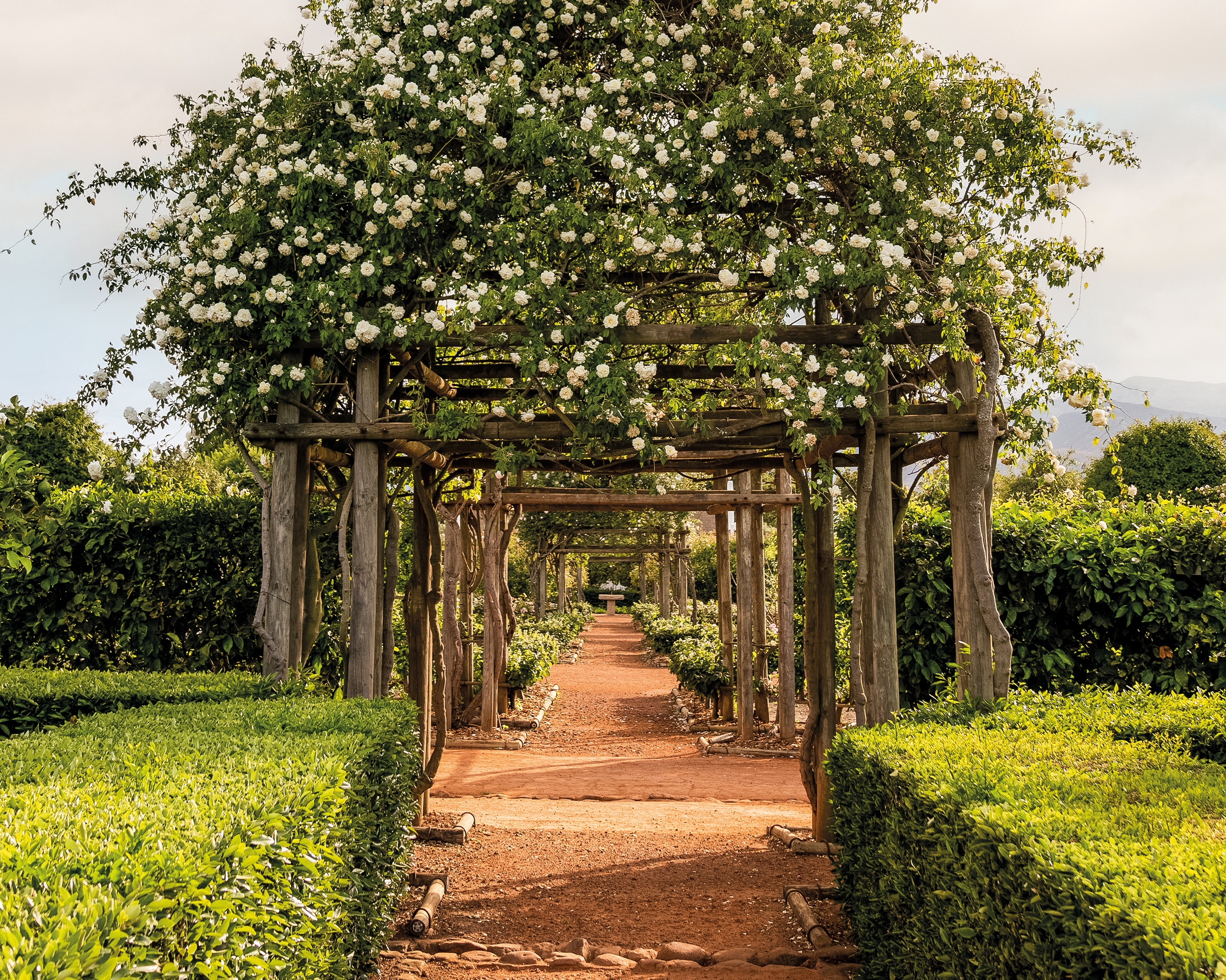 You are currently viewing Babylonstoren: A grounded sanctuary for everyone 