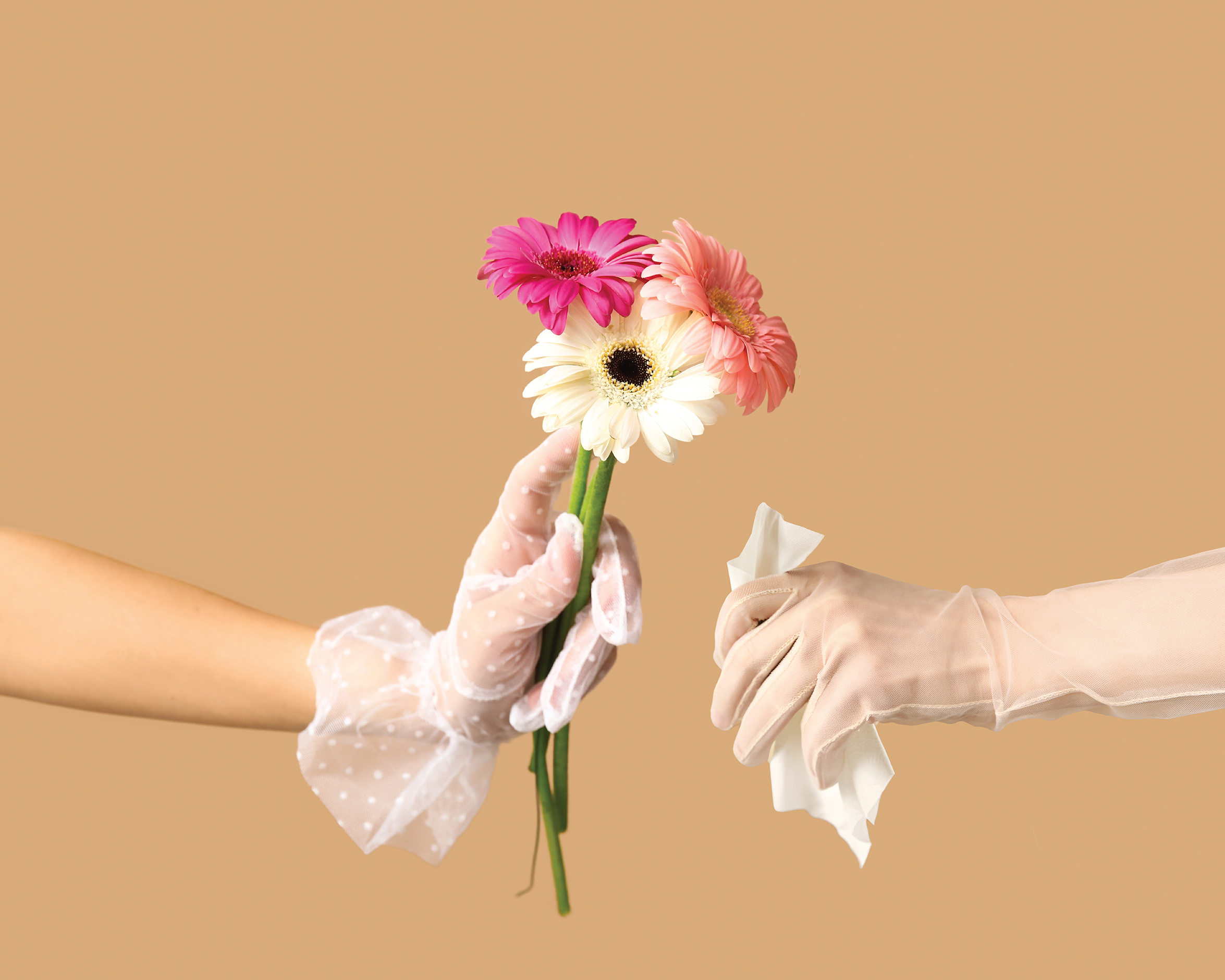 You are currently viewing Allergens: How to treat them holistically 