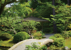Garden styles that transform your outdoor space