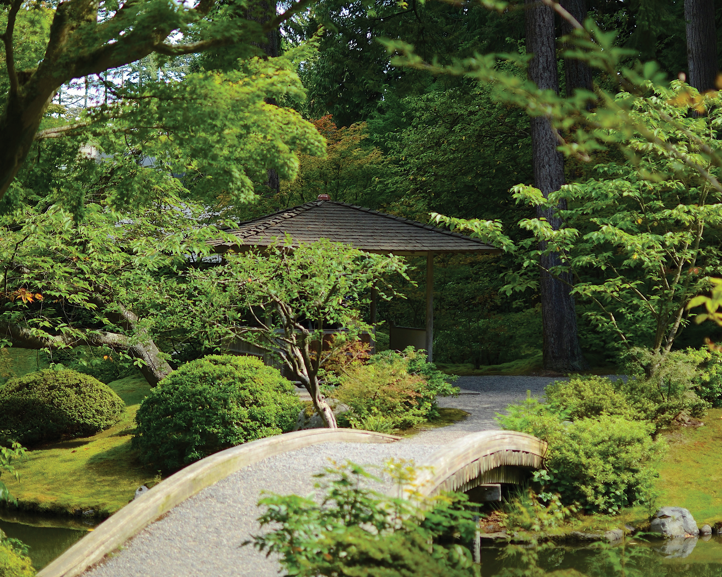 You are currently viewing Garden styles that transform your outdoor space