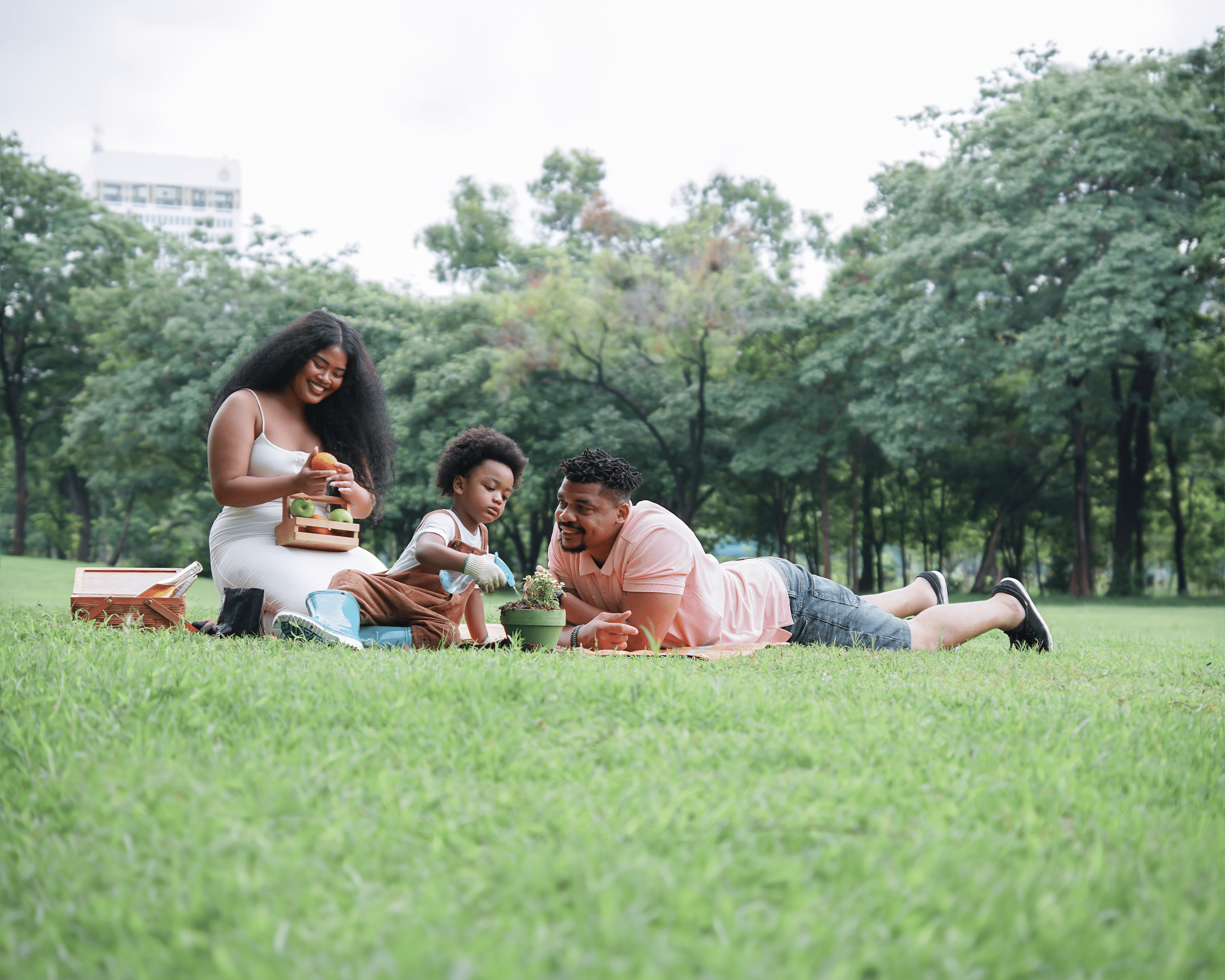 You are currently viewing 5 Family-friendly picnic spots around SA 